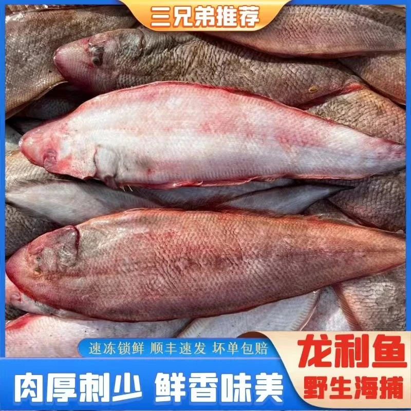 【三兄弟海鲜】本港纯野生龙丽鱼踏板鱼海鲜水产顺丰约3-4条/斤5斤