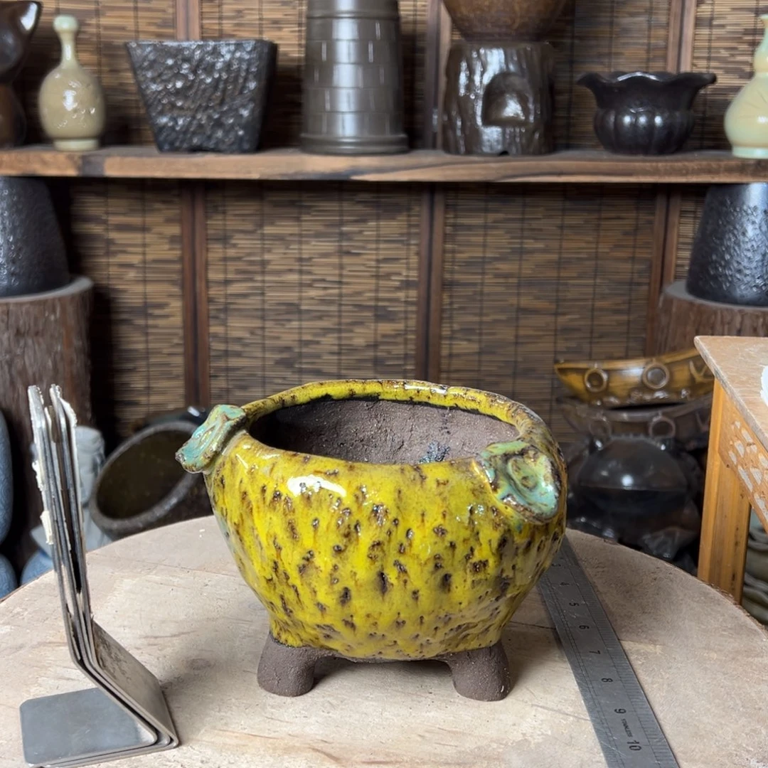 小***林狐狸爱心8888888888