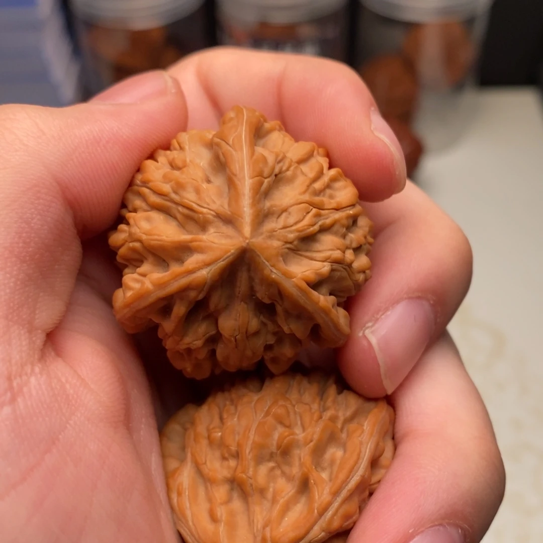 鲨****文玩核桃把件御龙