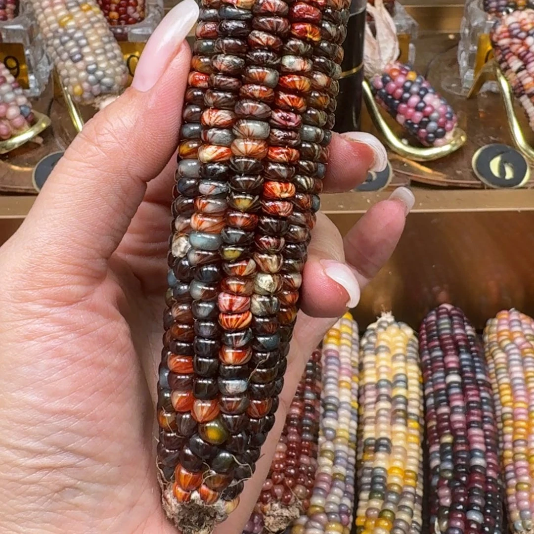 柏香籽/百香籽吊坠七***时