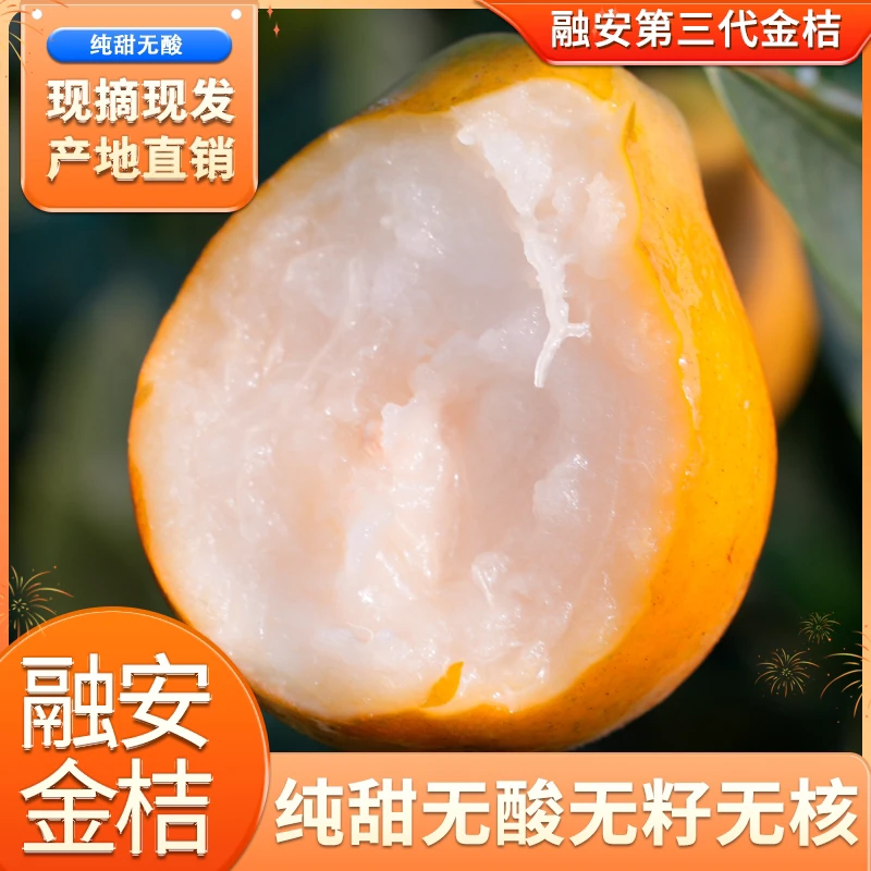 【果王福利专属】正宗融安脆蜜金桔老少皆宜脆甜新鲜当季应季水果