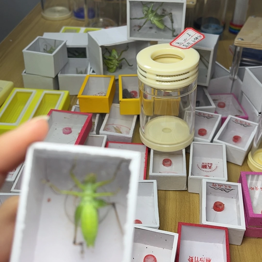 蚂蚁工坊扎嘴。