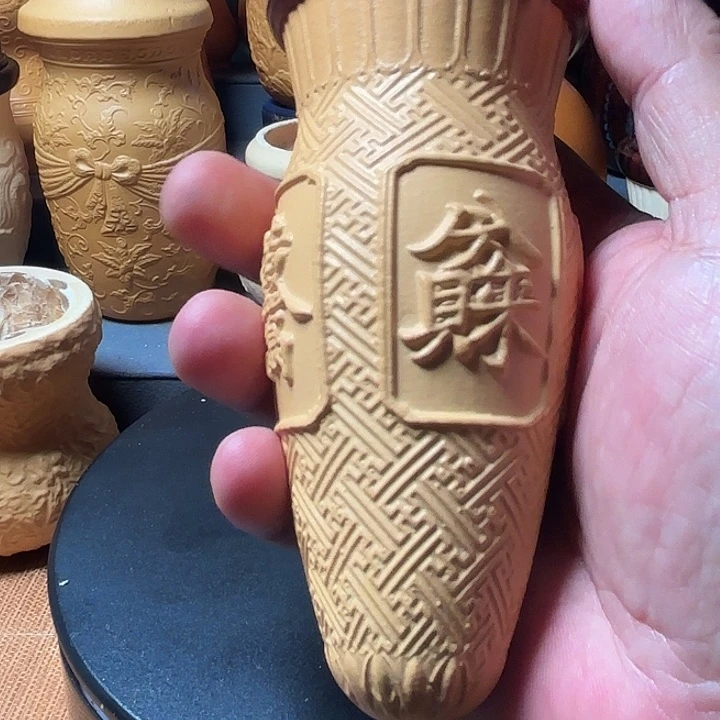 隐隐约约地看到一只大