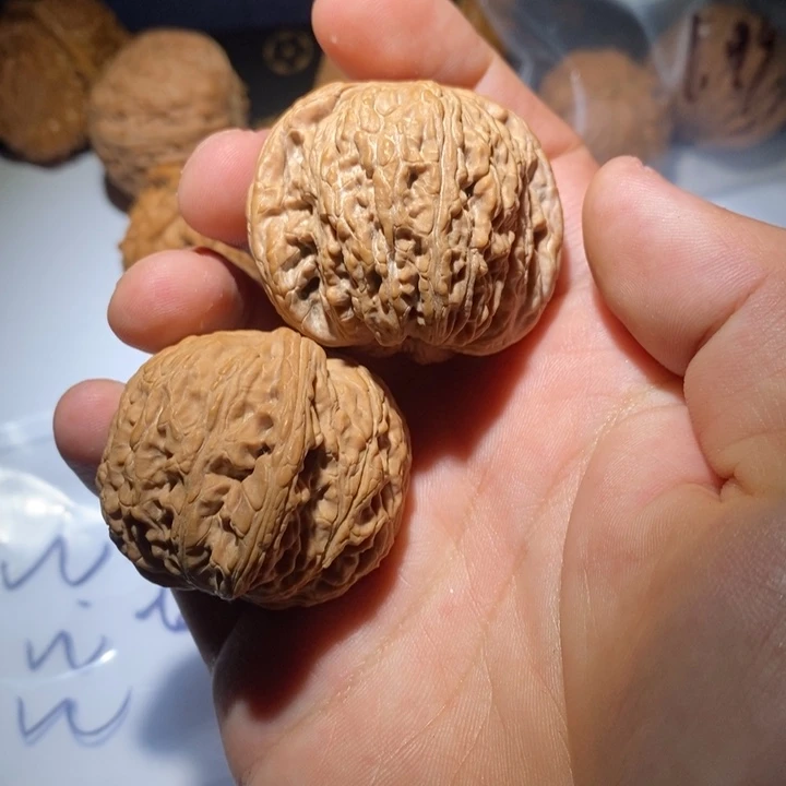 乐***多把件核桃泥鳅背哈哈哈哈哈