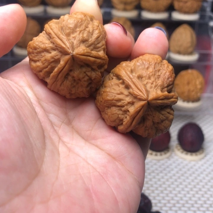 把件文玩核桃48粗筋磐石37