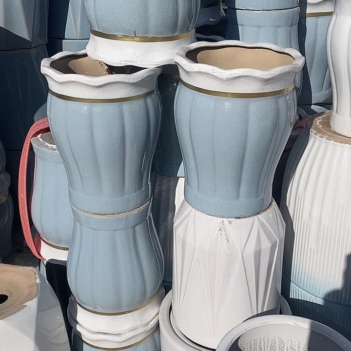 花口蓝南瓜中口25高32福利