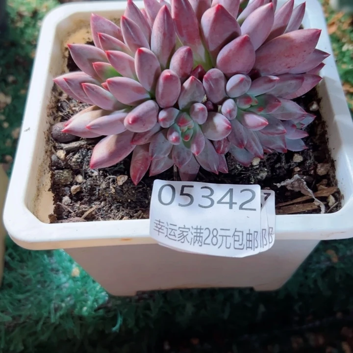 幸运的是我没有遇到过