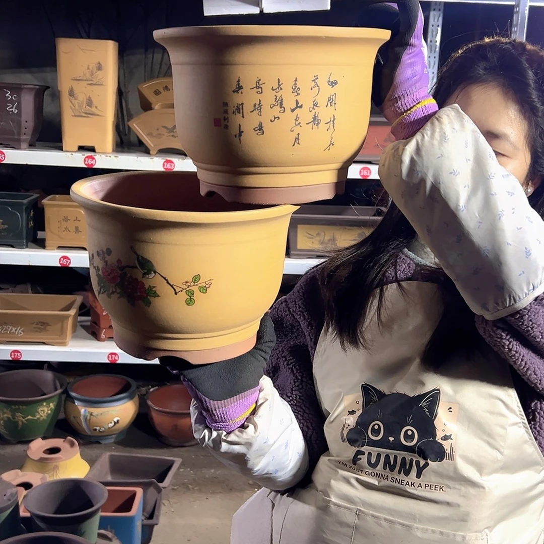 黄色鸟语花香中号一对