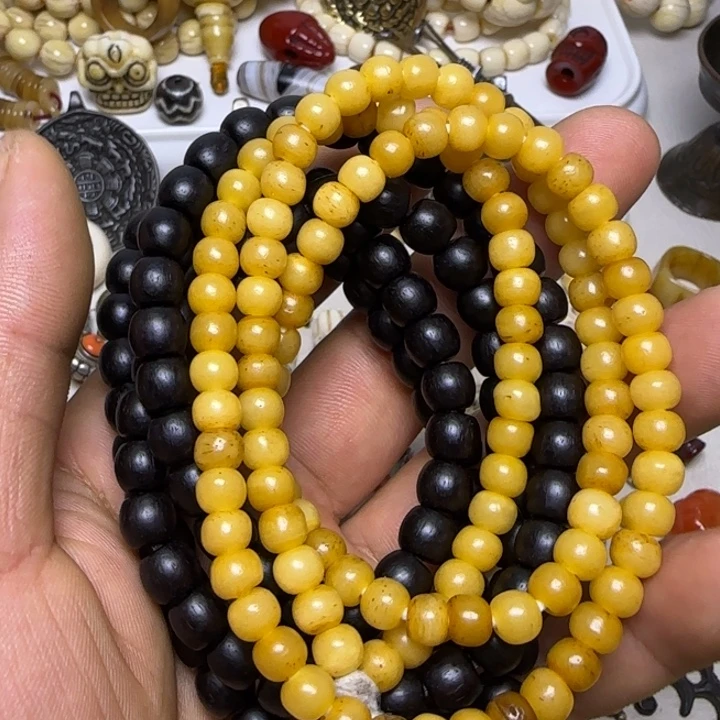 两条11112222尔甲