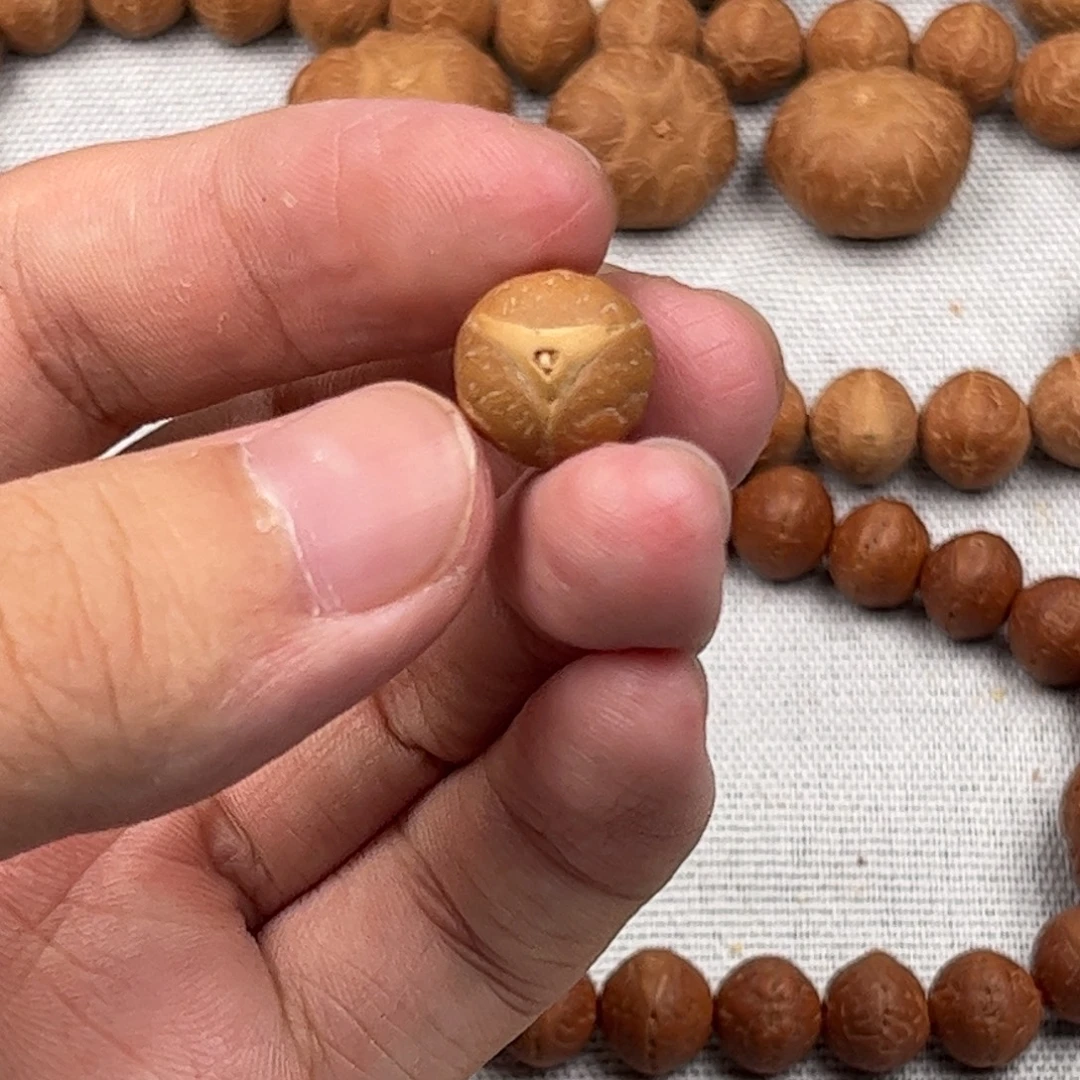 手串凤眼菩提12x11实心龙