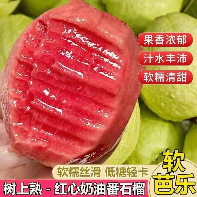 广西奶油红心番石榴新鲜软糯红心芭乐胭脂红孕妇低糖水果直发