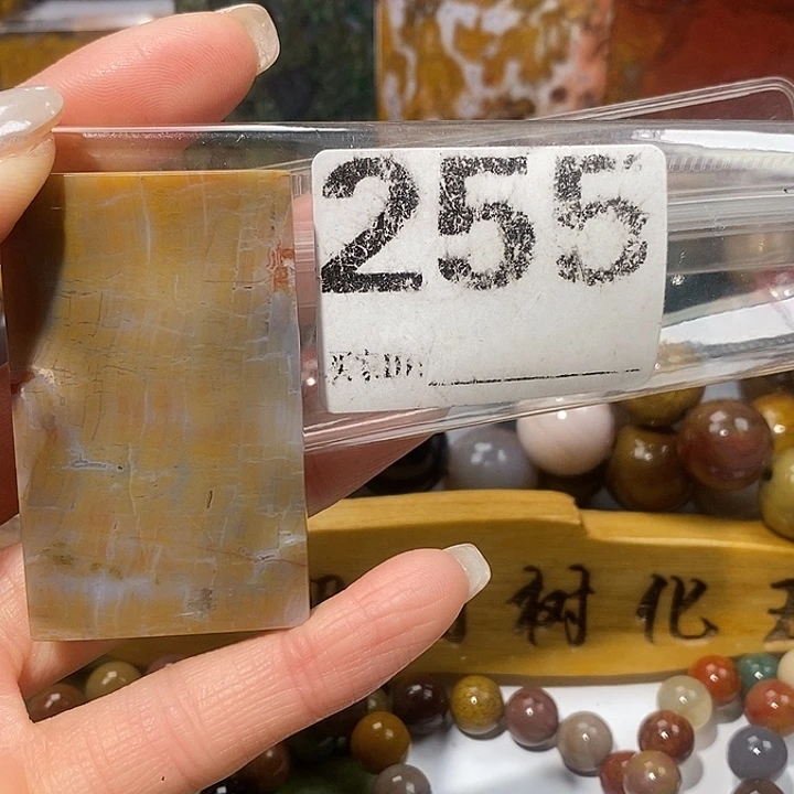 硅化玉未镶嵌天然北票树化玉吊坠