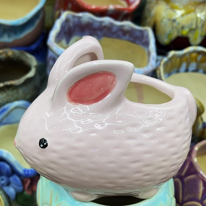 多肉绿植陶瓷花盆9.9包邮，有空