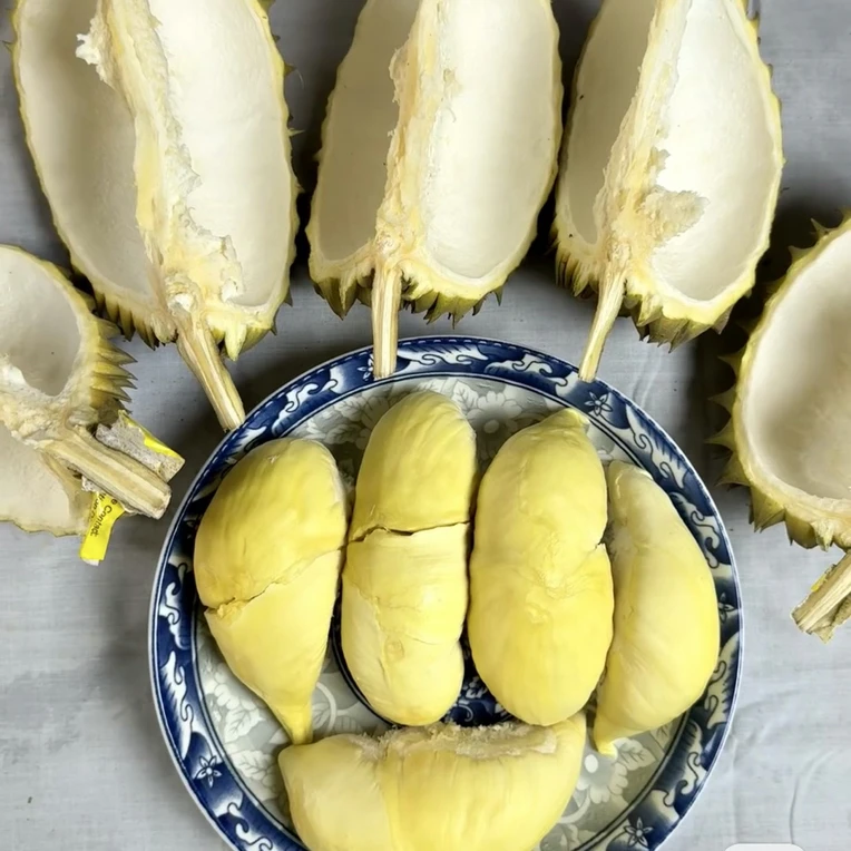 金枕榴莲鲜果现开（果肉）（包软糯香甜干包）鲜榴莲核小金枕泰国2斤纯果肉金枕泰国