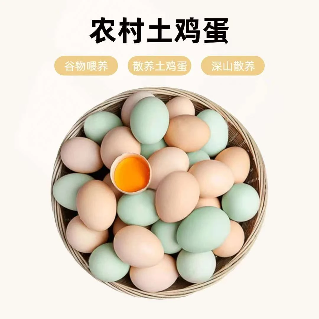 【百村千人】四川农村土鸡蛋山林散养土鸡土鸡蛋谷物喂养新鲜土鸡蛋