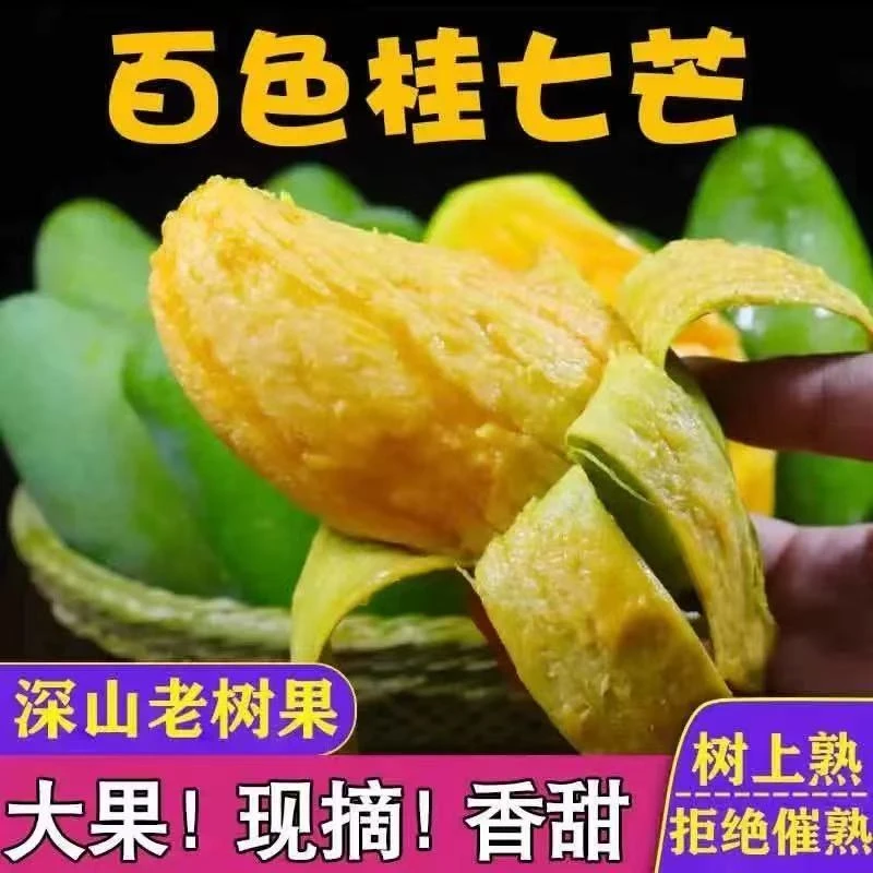 【产地直发】广西桂七芒5/9斤装大果新鲜现摘当季香甜肉厚皮薄芒果