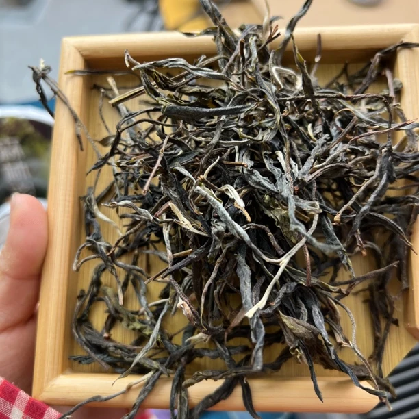 2025年昔归核心产区忙麓山古树（秋）毛茶散料