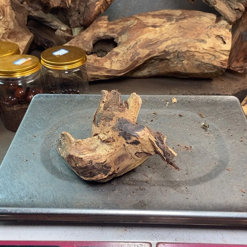 【闪购商品】黄花梨/降香黄檀守****持