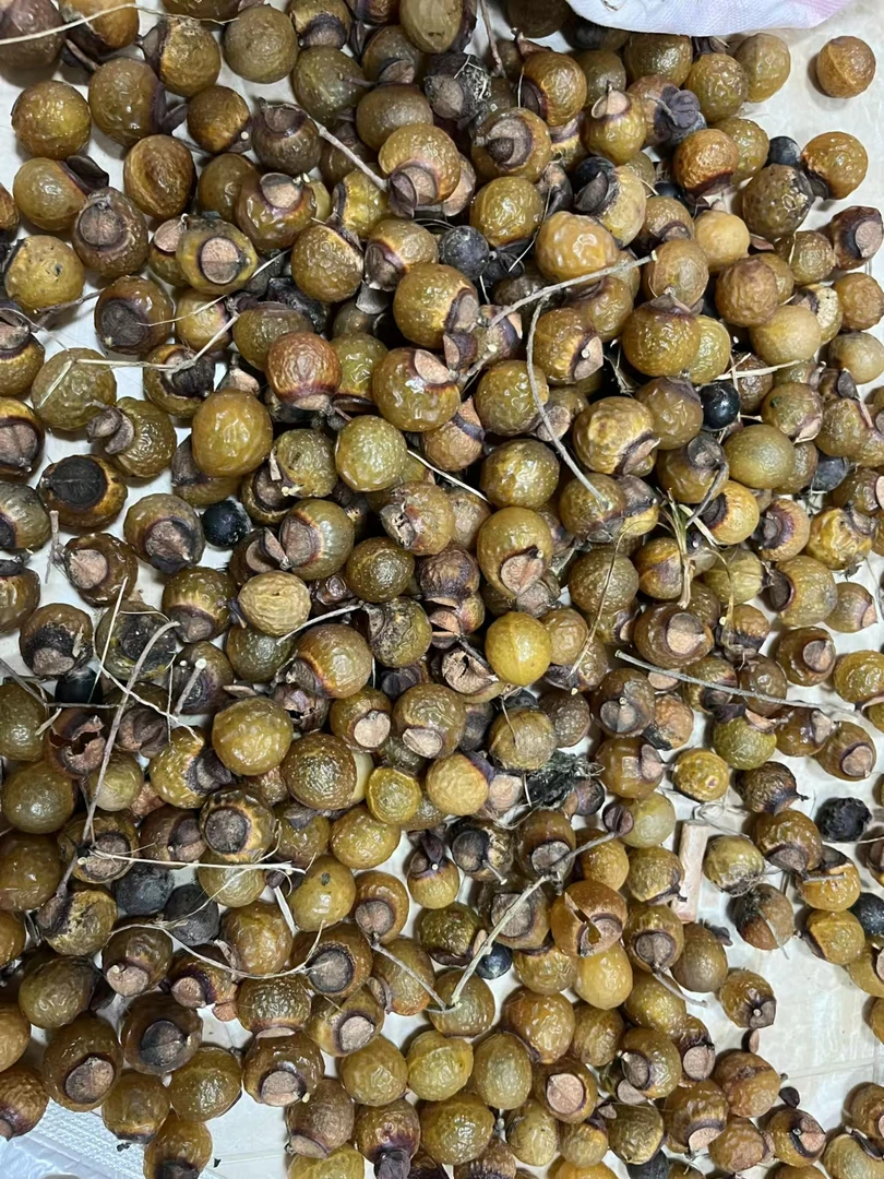 无患子随机菩提子原料天然材料