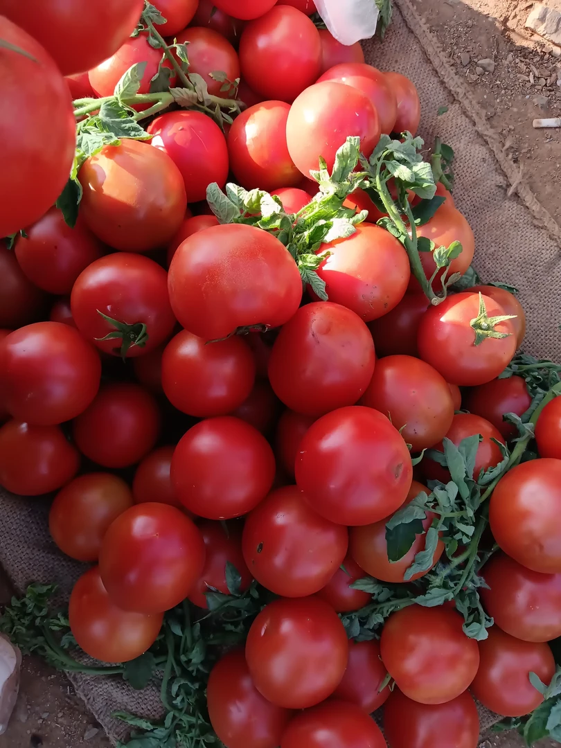 大理集市山货西红柿