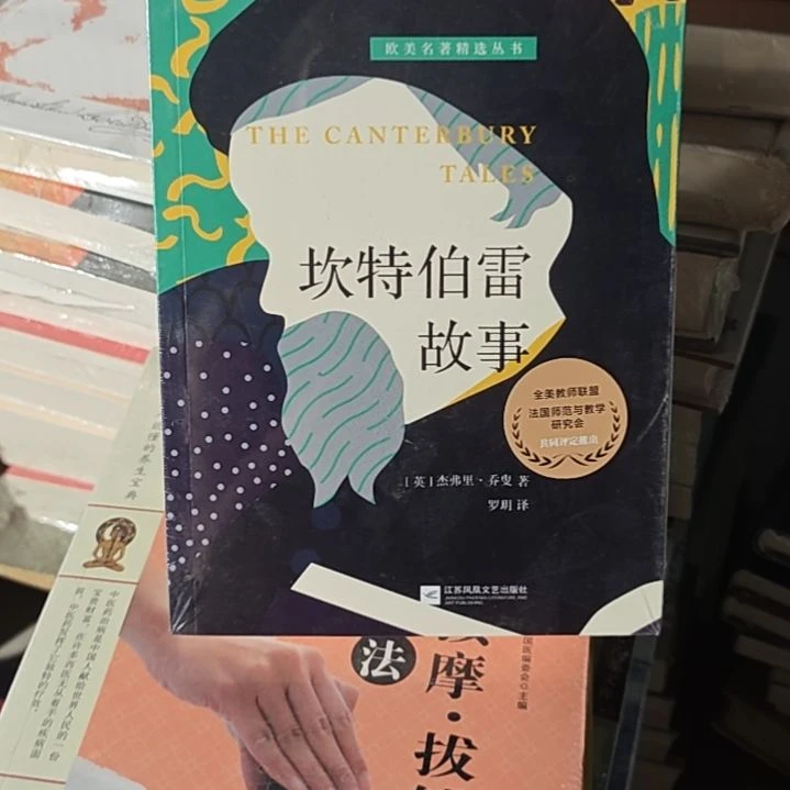 坎特伯雷的故事平装库存书