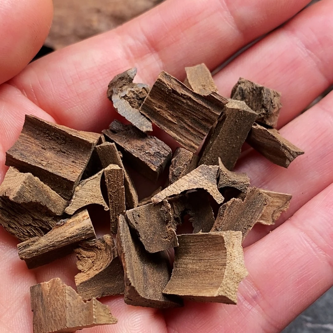 沉香沉香枕东马沉香1