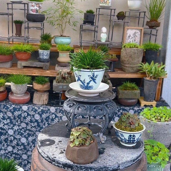 无花朵小鸟图案金钱带底座