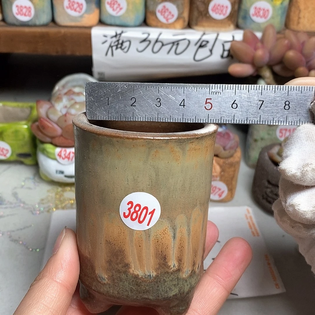 红陶拍5送一个小