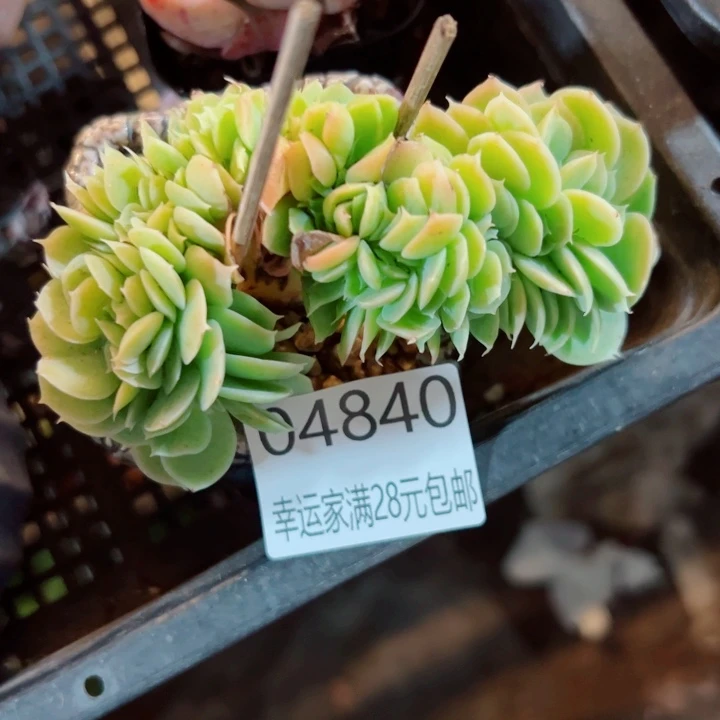 幸运的是我还没遇到过
