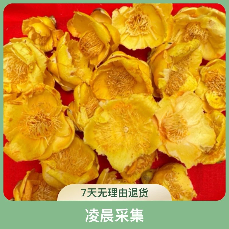 深山好货-精选 金花茶 4