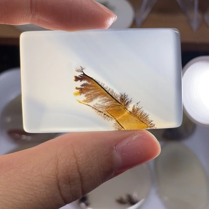 未镶嵌玛瑙象形福利款玛瑙/玉髓