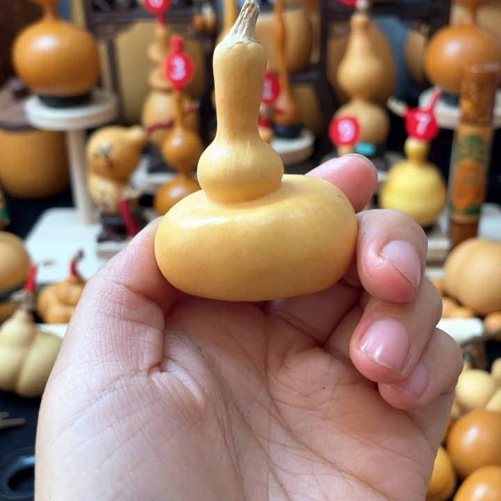 肉*儿葫芦岛市……哈尔滨一天吃