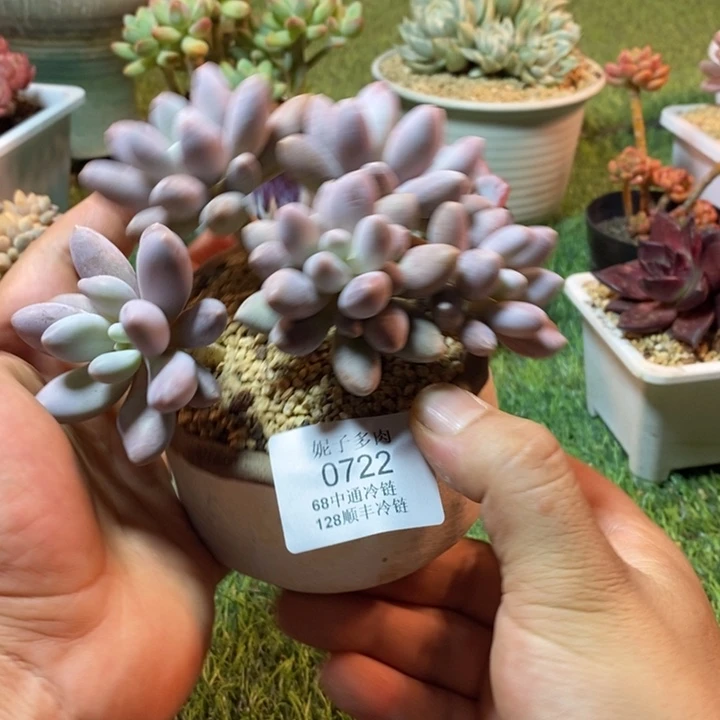 0722啊啊啊啊啊啊啊啊啊