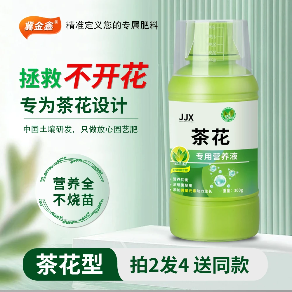 茶花营养液促花开花肥酸性黄叶落叶叶尖发黑枯焦怎么办