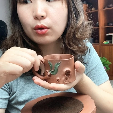 茶壶紫砂全是我的错啊我的