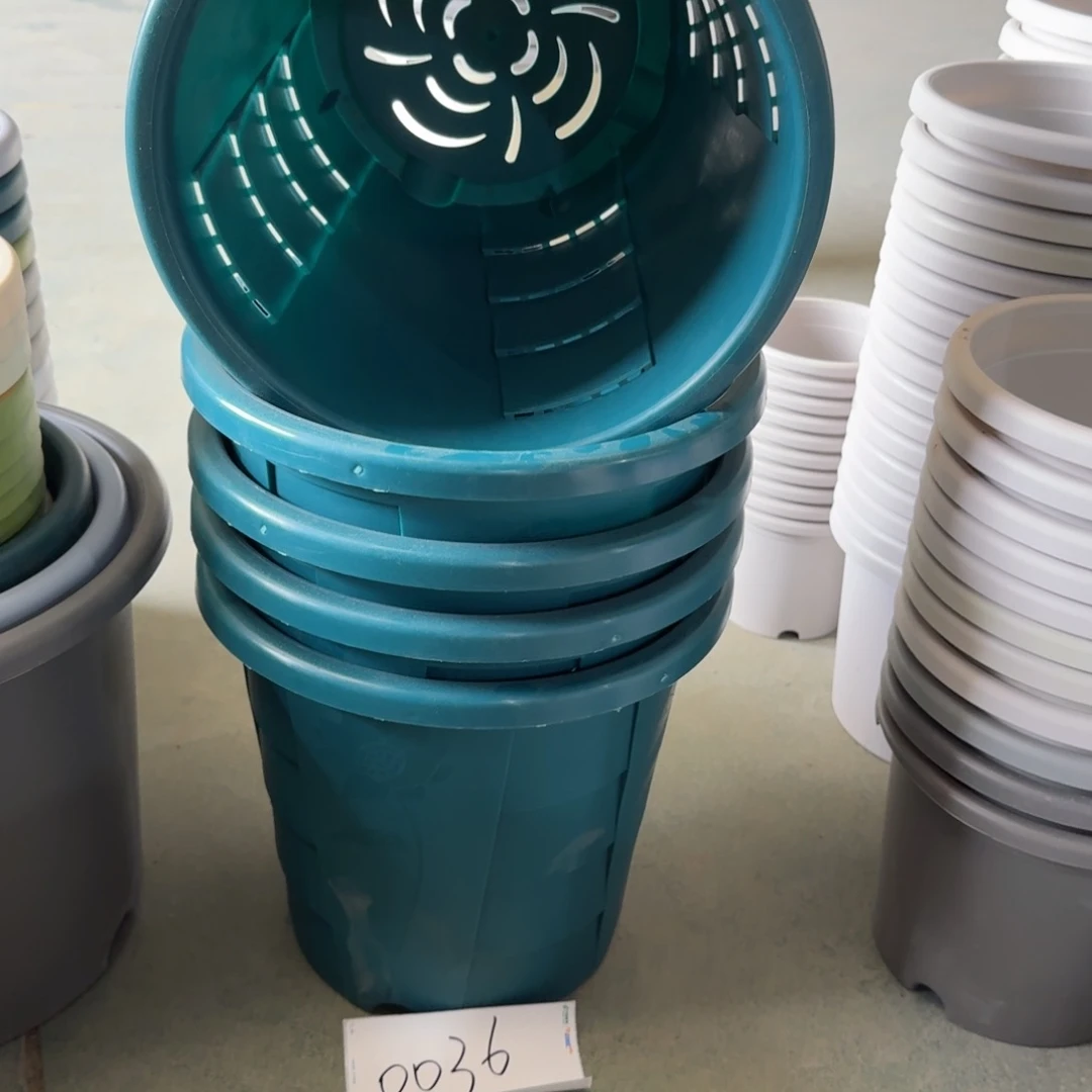 编号0036编号0036