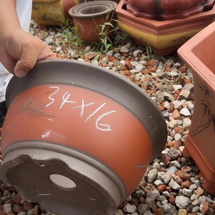 紫砂花盆紫砂花盆