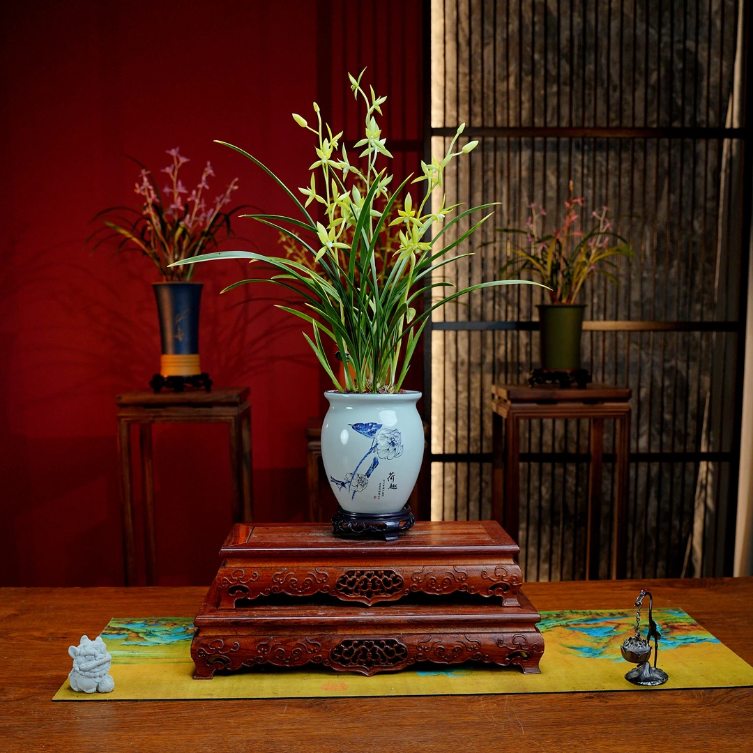 建兰铭品【骊山翠鸟】浓香型兰花 景德镇大师 青花陶瓷罐