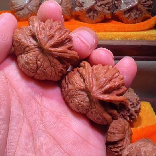 蛇王宫灯三瓣花纹土豪级