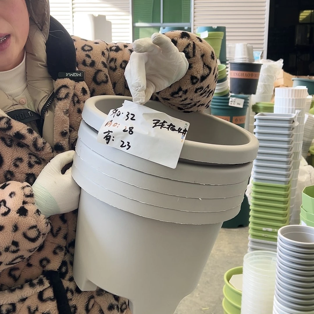 球根盆4#灰白5个无托