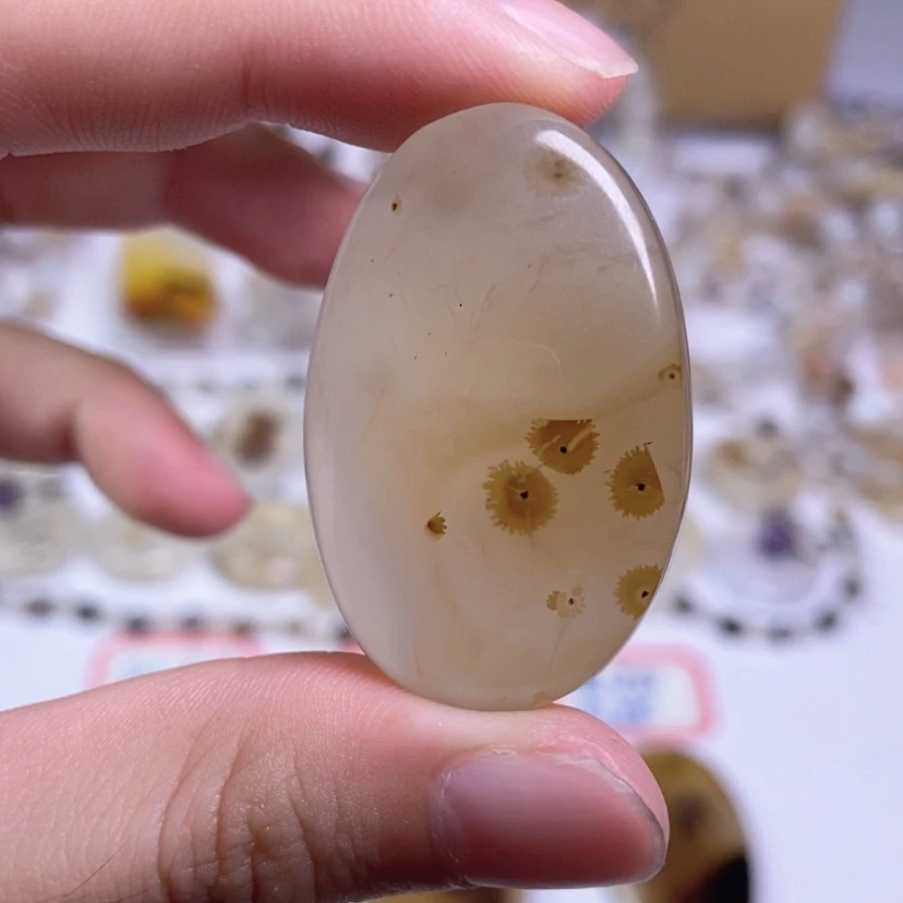 【闪购商品】玛瑙/玉髓颈饰合金