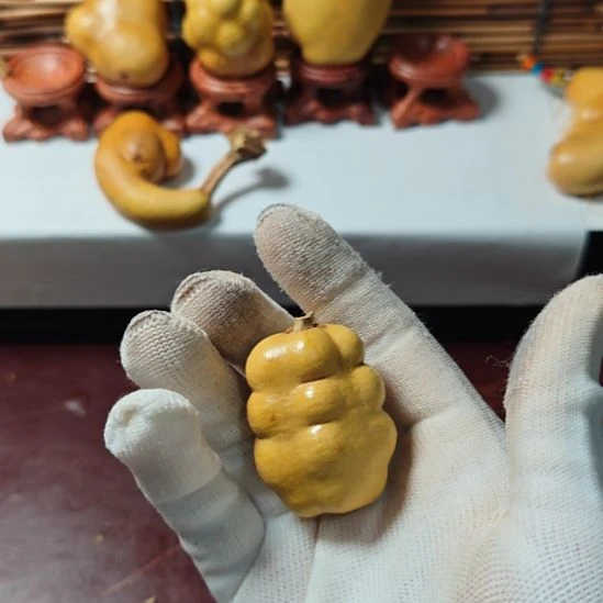 ～****精品土豆葫芦一物一拍