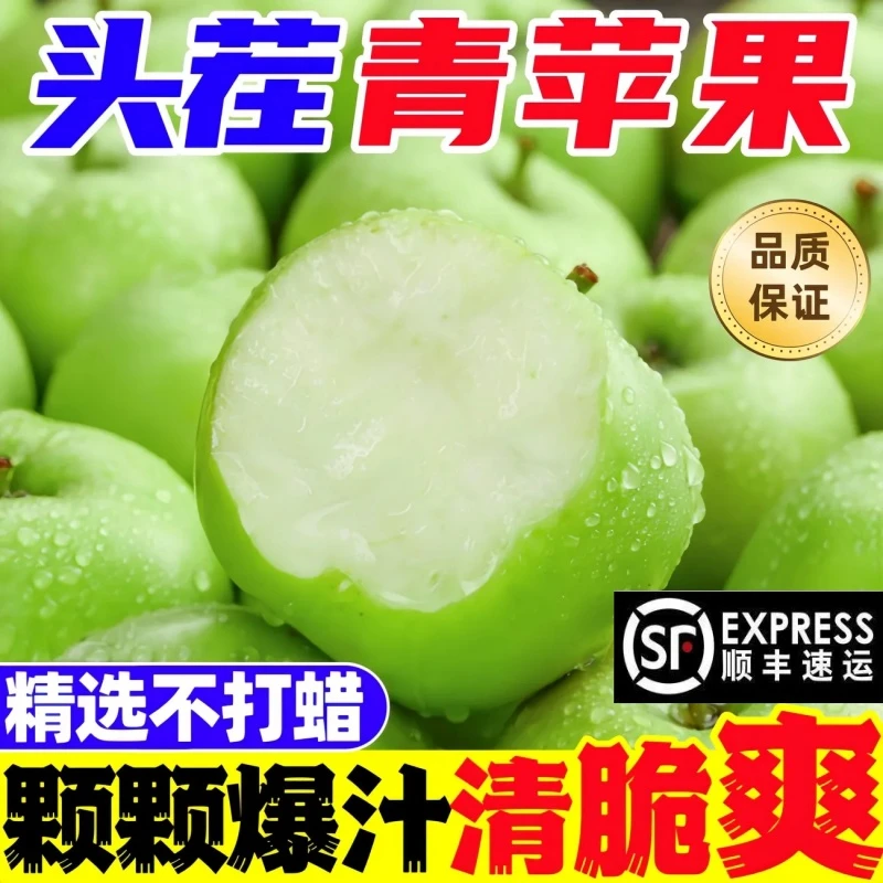 清脆爽口当季新鲜青苹果坏果包赔果园直销顺丰包邮当季新鲜水果