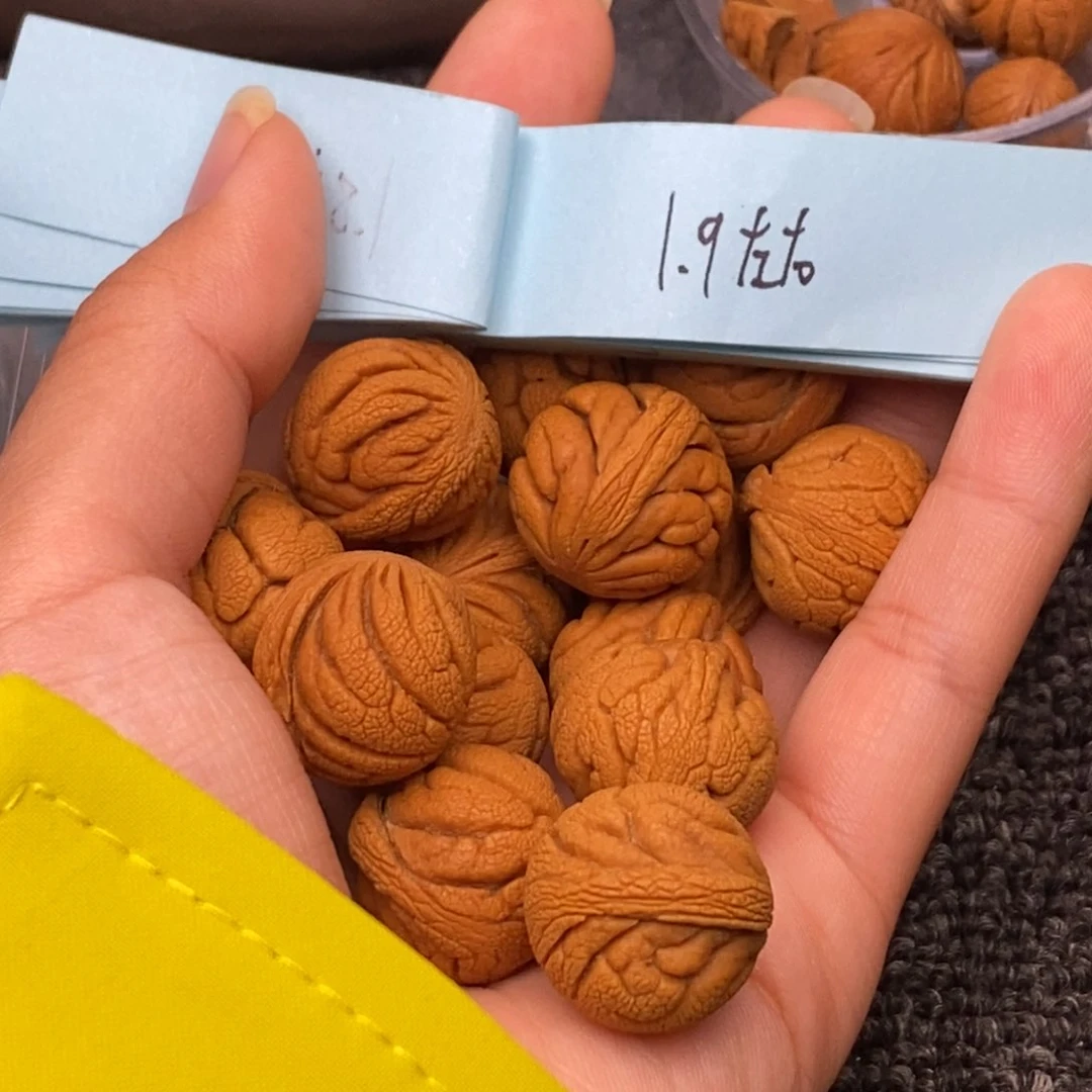 秦岭山脉龙纹桃核14k