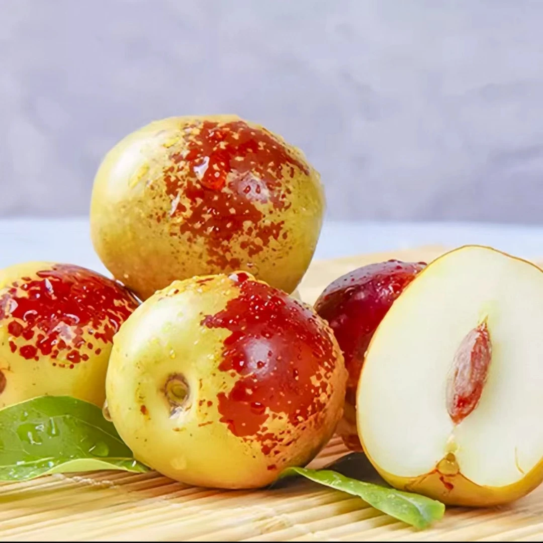 新鲜山东沾化大冬枣现摘新鲜水果应季水果供应