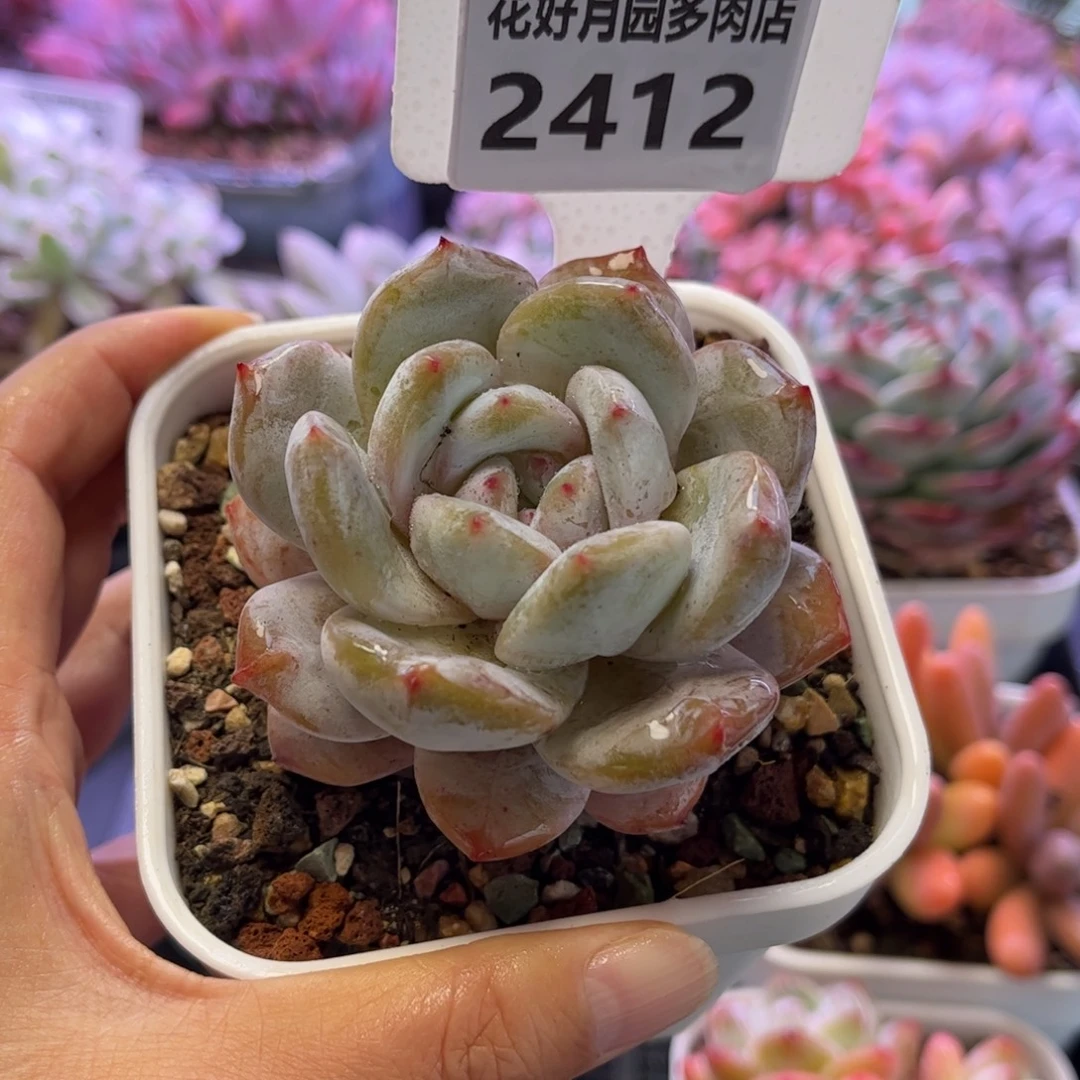 2312 满30包邮天冷地区必拍保温箱