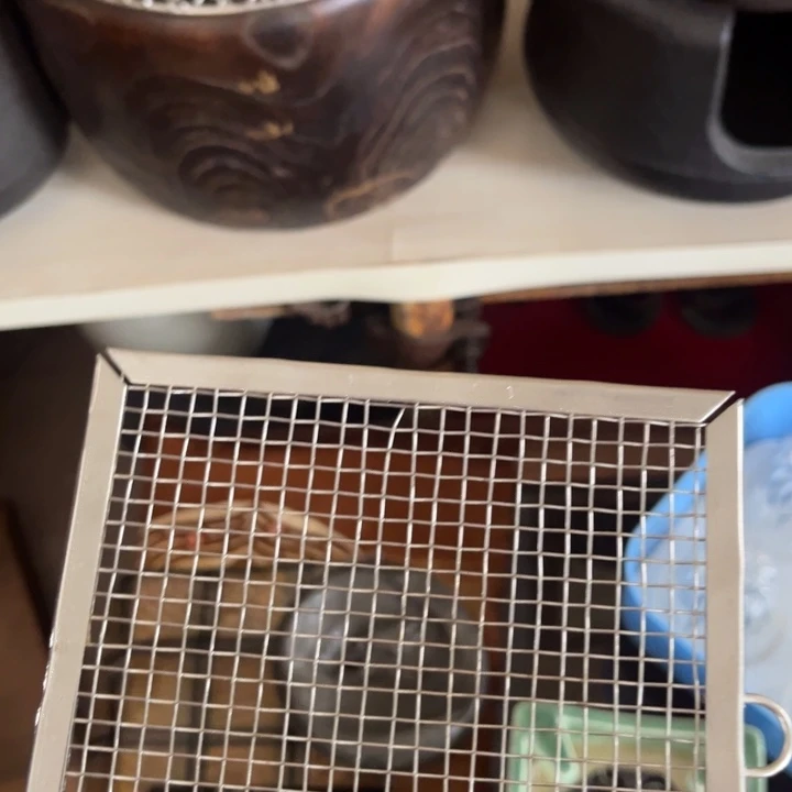 中古美术，福利多多