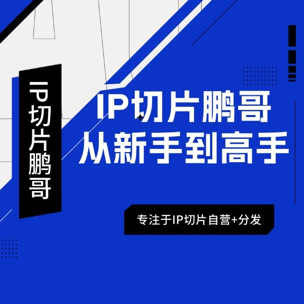 IP切片教程从新手到高手线上视频课