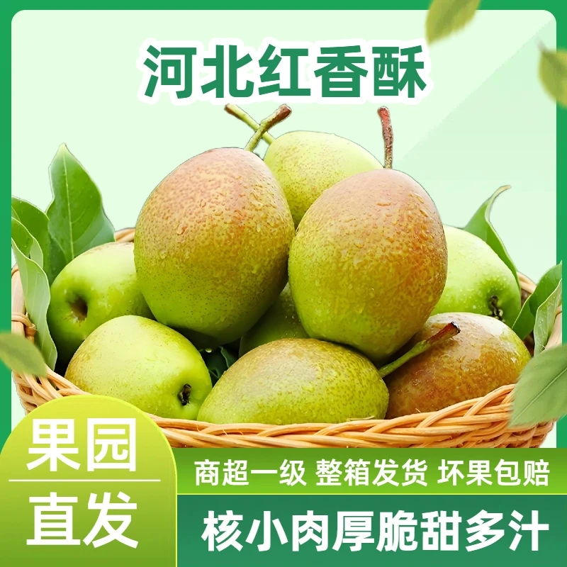 【京东包邮】2025红香酥梨梨子新鲜水果当应季整箱香梨包邮酥脆梨