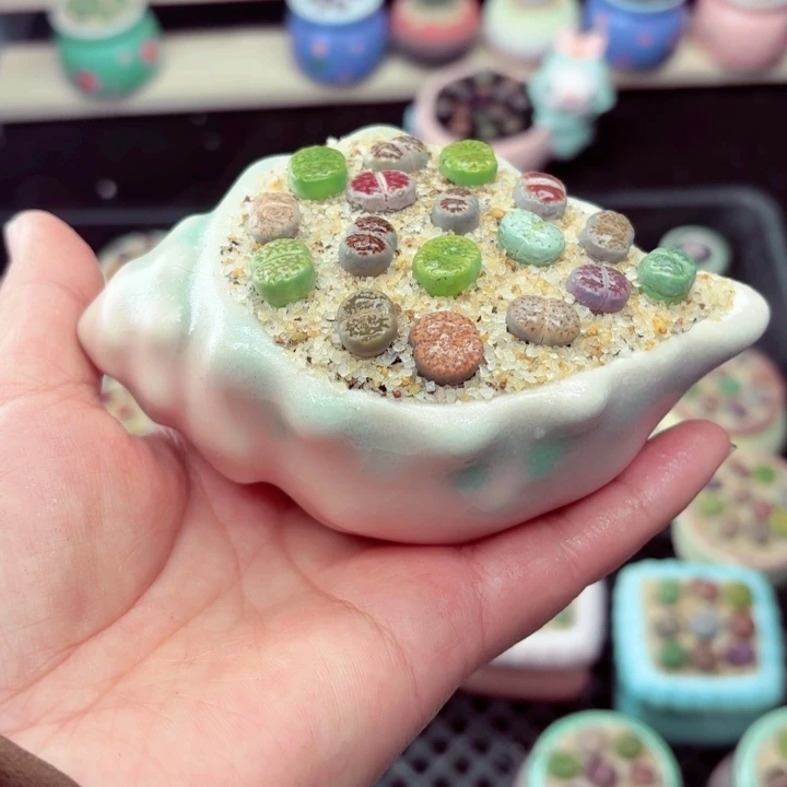 621零下地区里的拍保温箱